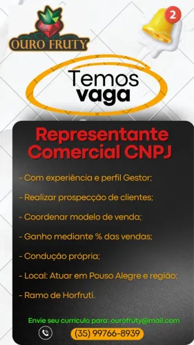 Representante Comercial de FLV