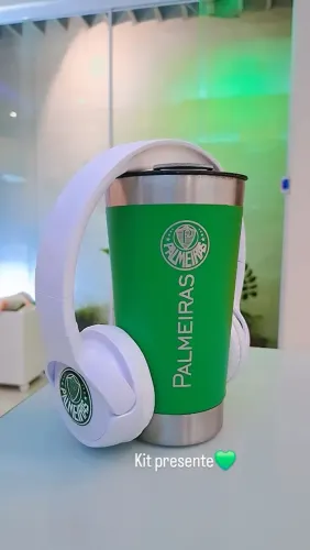 Kit presente palmeiras 