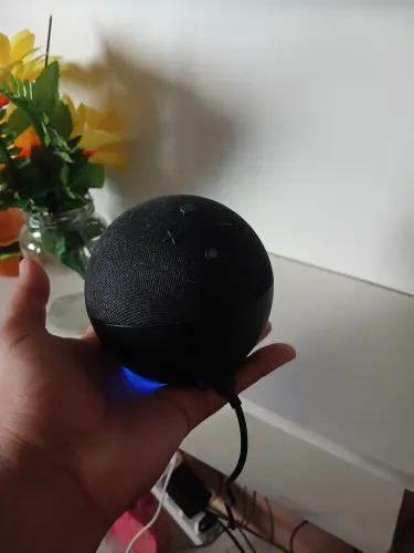 Vendo alexa 5 geração