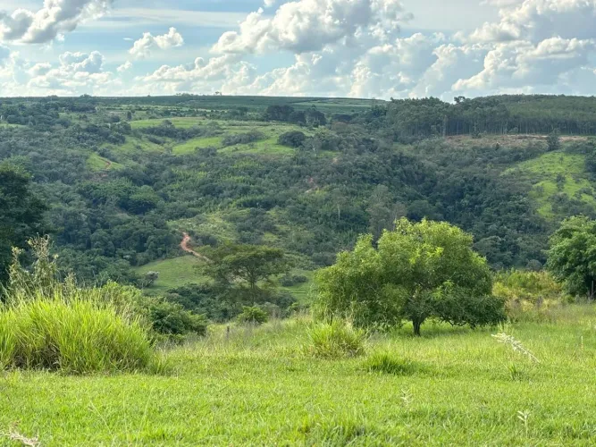 ? VENDE-SE PROPRIEDADE RURAL - GARÇA/SP ?