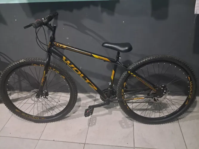 Bicleta
