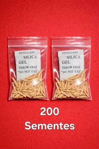 Rosa do Deserto kit 200 Semnetes