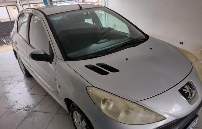Peugeot 207 XR 1.4 Flex 8V 5P 2009