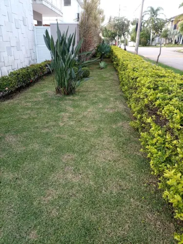 O JARDINEIRO, PRESTADOR 