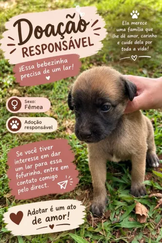 Doação