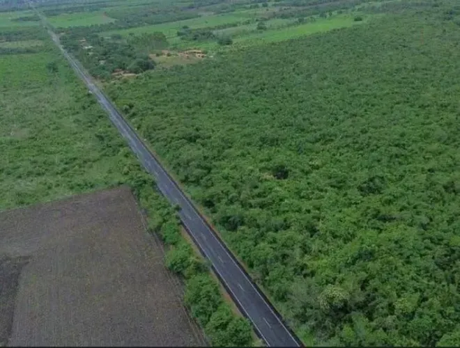 Gleba 120 Hectares em Barro Duro/PI - Com Localização Estratégia 