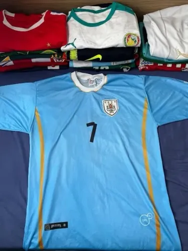 Seleção Uruguaia de Futebol, 2006/2007