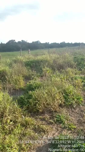 fazenda no total de 2.400 hectares na região de Ubiratâ MT