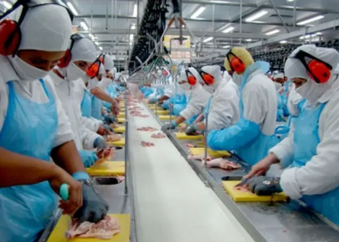 Precisa-se de Auxiliar de Produção de Peixaria