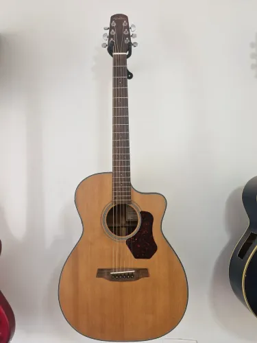 Violão walden