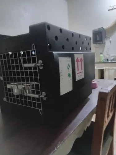 Caixa pra carregar animais