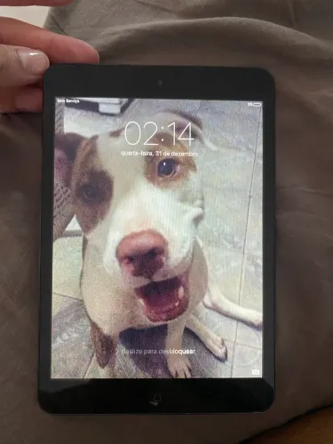 iPad mini 1ªGeração 