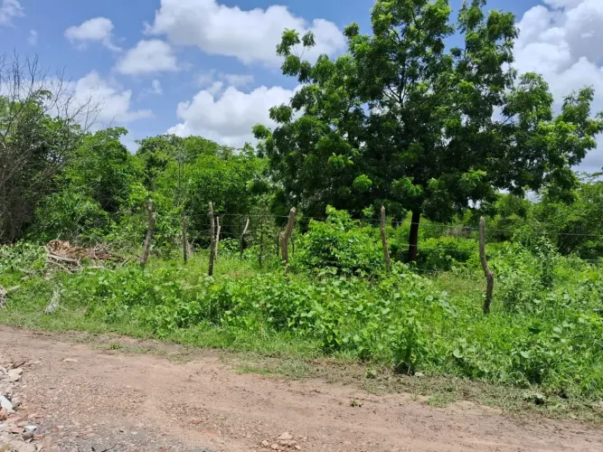 Lotes para venda tem 720 metros quadrados em Toco (Jurema) - Caucaia - CE