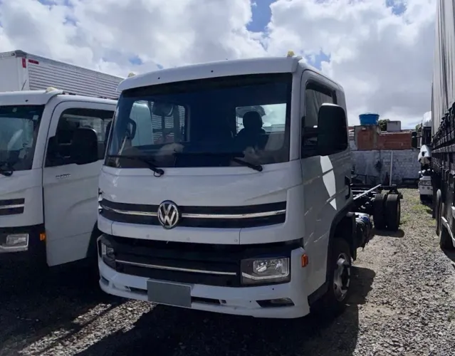 VW 1180 2019 - Baixa Quilometragem, Pronto para o Trabalho!