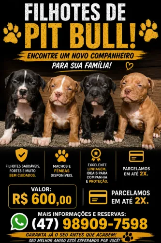 Cachorros