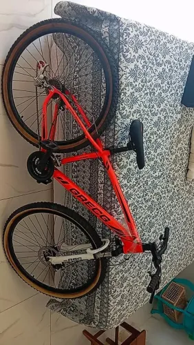 Bicicleta adulto 