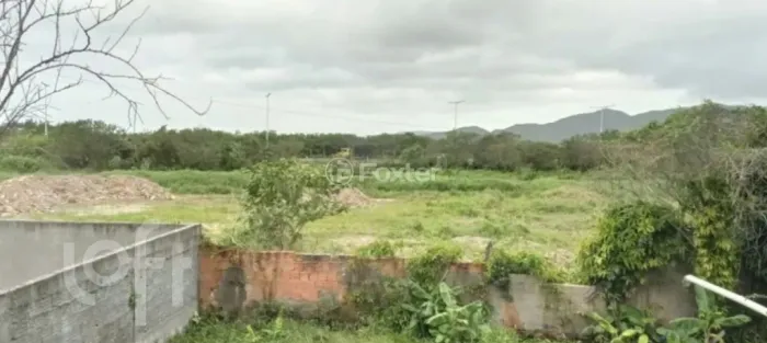 Casa à venda Rua Ipê Rosa, Carianos - Florianópolis