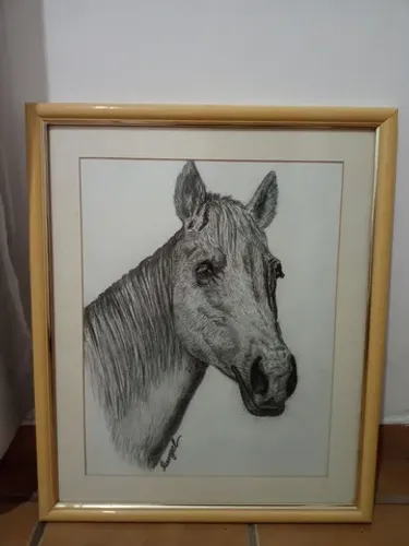 Quadro com cavalo 