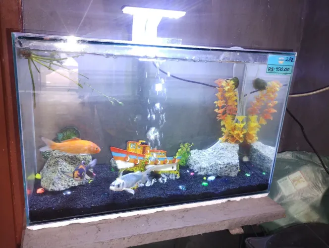 Aquários de variados tamanhos e modelos