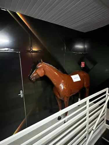 Venda-se Cavalo de enfeite. 