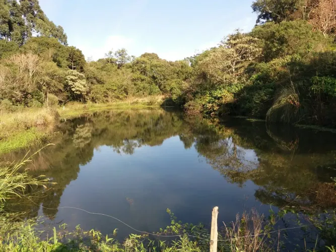 Sitio 1.5 hectare com lago, pertinho de Gramado