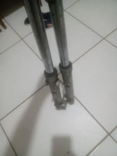 Vendo bengala 