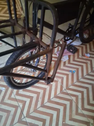 Bike cargagueira