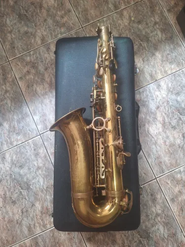 Sax alto shelter