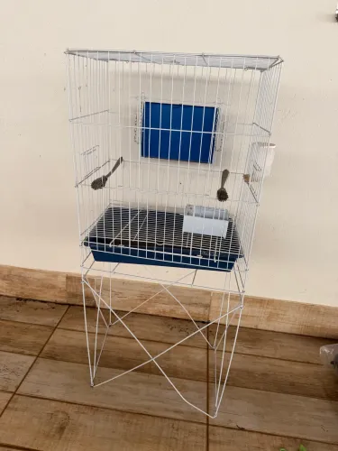 Gaiola pra Aves