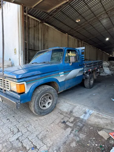 Caminhão D20