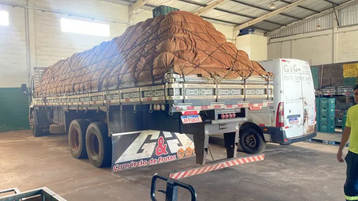 Ford cargo 2422