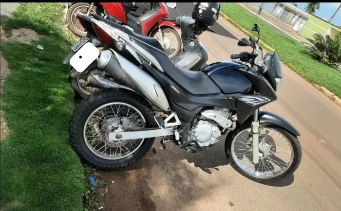 FALCON DE COLECIONADOR 