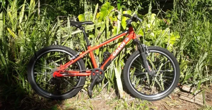 Bicicleta Caloi Wild Aro 24 