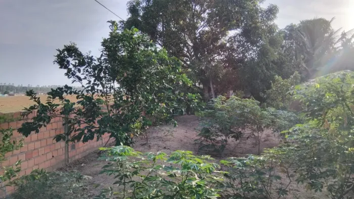 Vendo terreno 