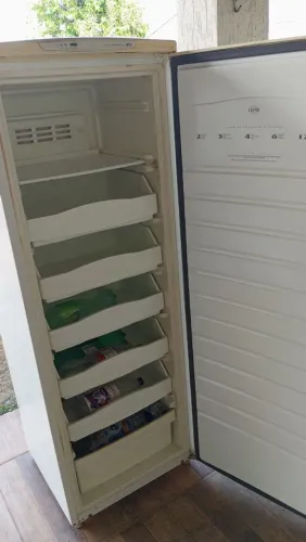 Freezer Frost Free Brastemp 260 litros