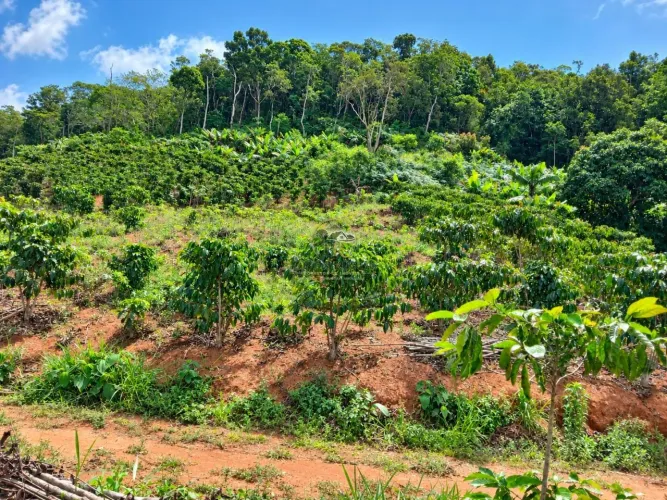 TERRENO DE 2 HECTARES À VENDA EM SANTA LEOPOLDINA ES