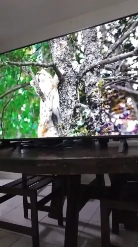 TV SMART 55 POLEGADAS