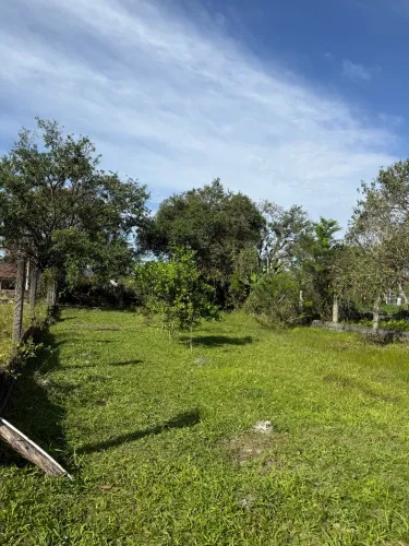 Lote de frente para a pista - 12x30 - Estrada Municipal