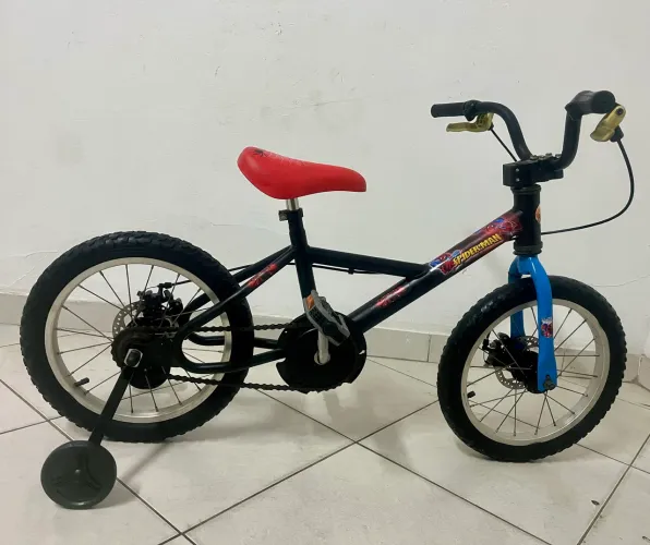 Home Aranha- Aro 16