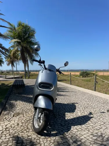 LAF AVA