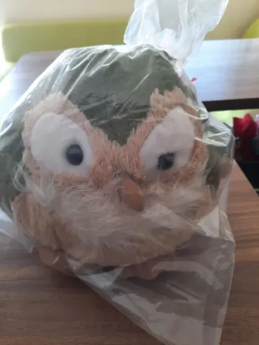 Coruja pelucia fofy
