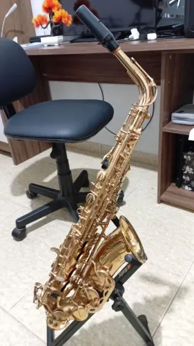 Saxofone alto michael