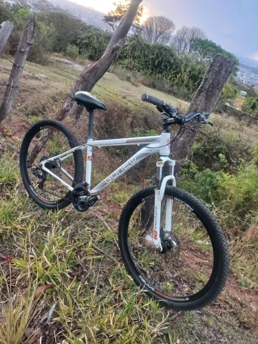 Bike aro 29 ' Gonew Endorphine 6.3 '
