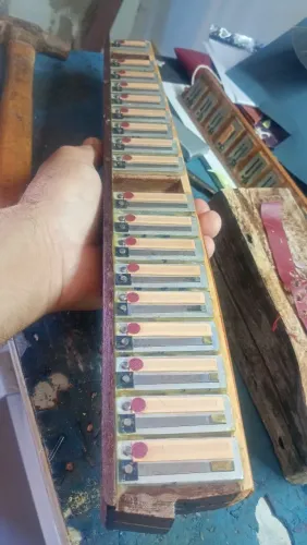 Acordeon