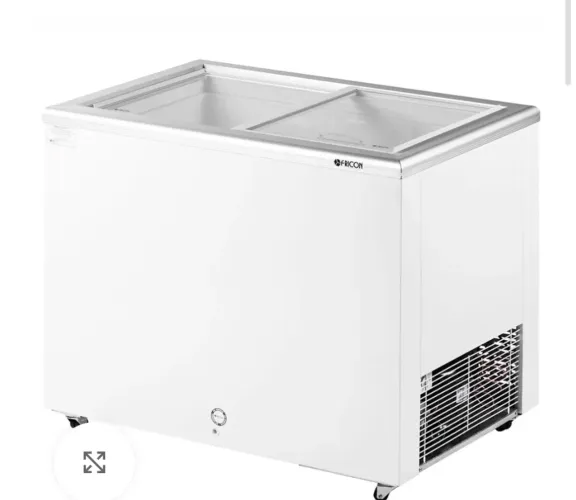 Freezer , fogão industrial com forno , fritadeira elétrica 