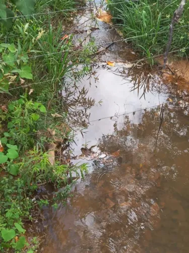 JABOTICATUBAS/MG Sítio com casa sede e piscina em área de 33.955,00m² no Distrito de Alme