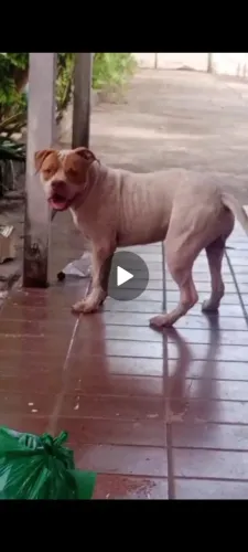 Pit monster