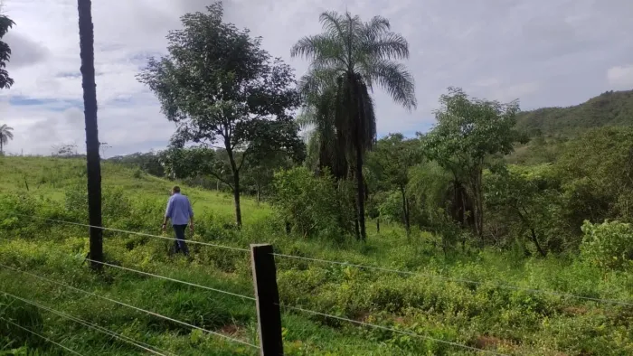 Fazenda em padre Bernado Goiás