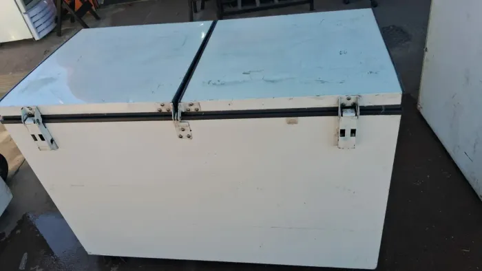 Freezer Horizontal Reubly