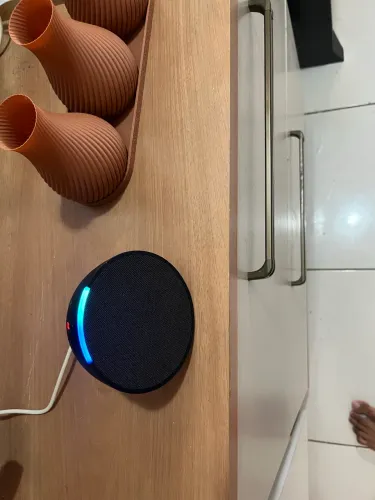 Alexa pop